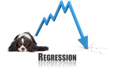 Separation Anxiety – regressions are normal!