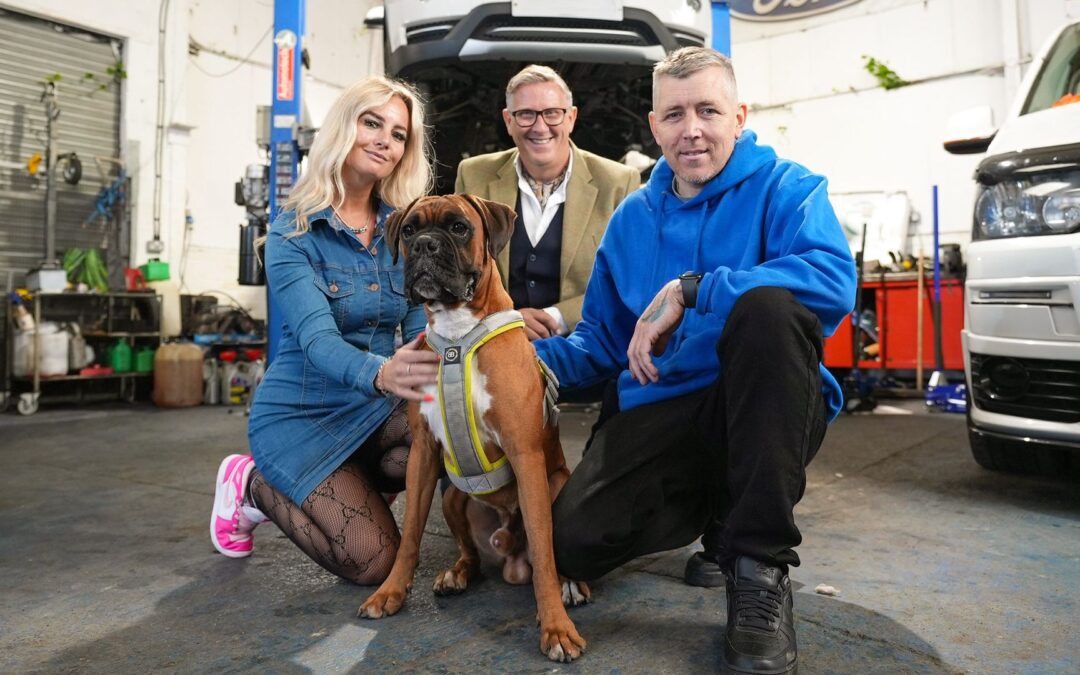 Review of Graeme Hall (Dogs Behaving Very Badly) & Dre, a Boxer with separation anxiety (season 6, episode 9)